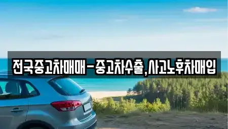 서울특별시 중구 을지로1가 중고차 전문 전국중고차매매-중고차수출,사고노후차매입