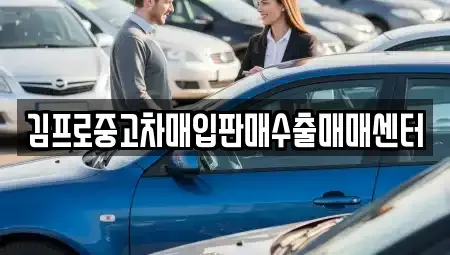 서울특별시 중구 을지로1가 중고차매입 전문 김프로중고차매입판매수출매매센터