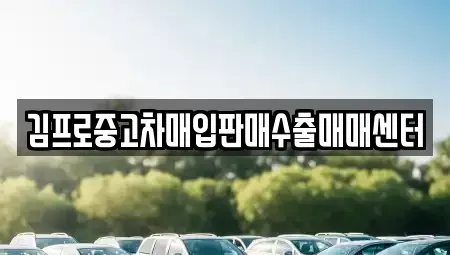 서울특별시 중구 의주로1가 중고차매입 전문 김프로중고차매입판매수출매매센터