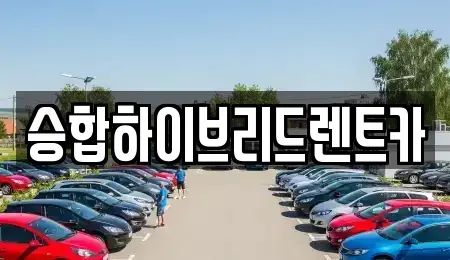 서울특별시 중랑구 중화동 단기렌트카 전문 승합하이브리드렌트카