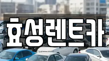 서울특별시 중랑구 중화동 렌트카 전문 효성렌트카