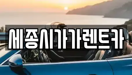 세종 아름동 단기렌트카,중고차매입,중고차매매,중고차,렌트카,장기렌트카