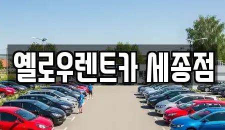 세종 아름동 렌트카 전문 옐로우렌트카 세종점