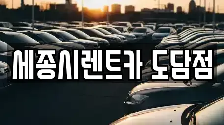 세종 아름동 장기렌트카 전문 세종시렌트카 도담점