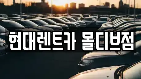 세종 아름동 장기렌트카 전문 현대렌트카 몰디브점