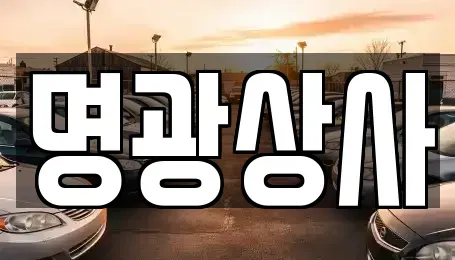 세종 아름동 중고차매매 전문 명광상사