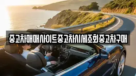 세종 아름동 중고차매매 전문 중고차매매사이트중고차시세조회중고차구매