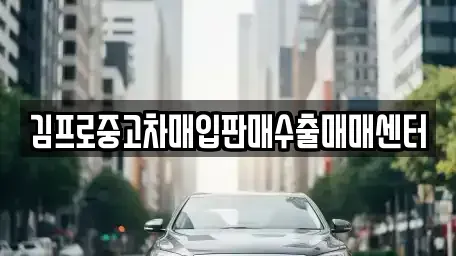 세종 아름동 중고차매입 전문 김프로중고차매입판매수출매매센터