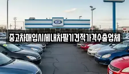 세종 아름동 중고차매입 전문 중고차매입시세내차팔기견적가격수출업체