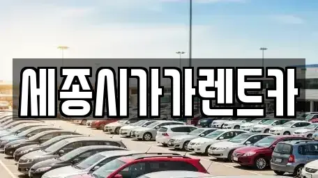 세종특별자치시 가람동 렌트카 전문 세종시가가렌트카