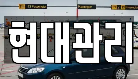 세종특별자치시 가람동 렌트카 전문 현대관리