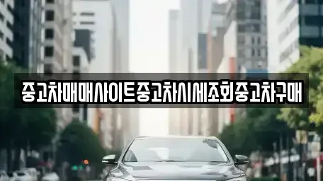 세종특별자치시 가람동 중고차 전문 중고차매매사이트중고차시세조회중고차구매