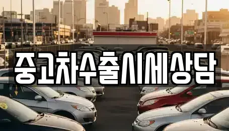 세종특별자치시 가람동 중고차 전문 중고차수출시세상담