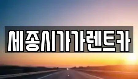 세종특별자치시 대평동 렌트카 전문 세종시가가렌트카