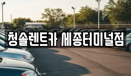 세종특별자치시 대평동 렌트카 전문 청솔렌트카 세종터미널점