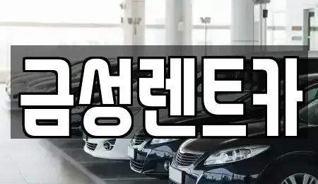 울산 렌트카 전문 금성렌트카