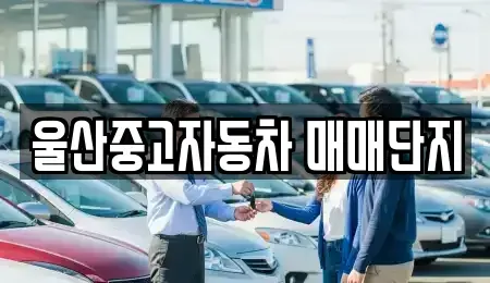 울산 중고차매매,단기렌트카,중고차매입,장기렌트카,중고차,렌트카