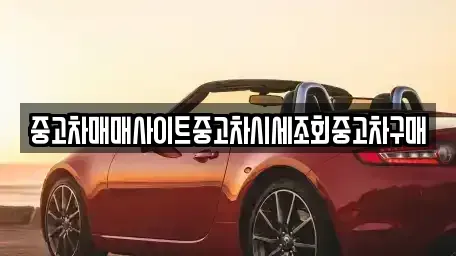 울산 중구 성안동 중고차 전문 중고차매매사이트중고차시세조회중고차구매