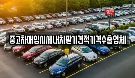 울산 중구 성안동 중고차매입 전문 중고차매입시세내차팔기견적가격수출업체