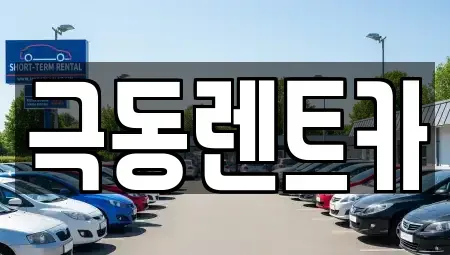 울산광역시 북구 신천동 렌트카 전문 극동렌트카