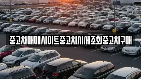 인천 강화군 교동면 중고차매매 전문 중고차매매사이트중고차시세조회중고차구매