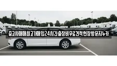 인천 강화군 교동면 단기렌트카,중고차매입,중고차매매,중고차,렌트카,장기렌트카