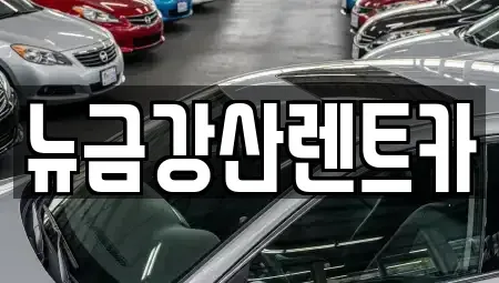 인천 계양구 상야동 렌트카 전문 뉴금강산렌트카