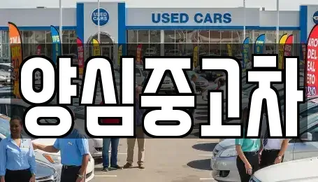 인천 계양구 상야동 중고차 전문 양심중고차