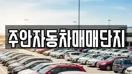 인천 미추홀구 중고차 전문 주안자동차매매단지