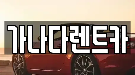 인천 미추홀구 학익동 렌트카 전문 가나다렌트카
