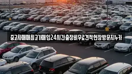 인천 중구 신생동 중고차매입 전문 중고차매매최고가매입24시간출장비무료견적현장방문지누카