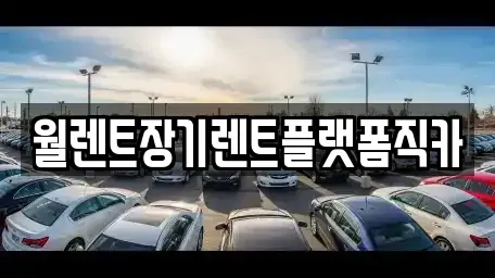 인천 중구 신포동 장기렌트카 전문 월렌트장기렌트플랫폼직카