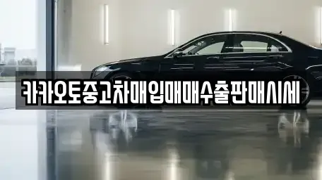 인천 중구 신포동 중고차 전문 카카오토중고차매입매매수출판매시세