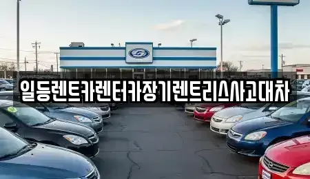 인천광역시 미추홀구 용현동 장기렌트카 전문 일등렌트카렌터카장기렌트리스사고대차