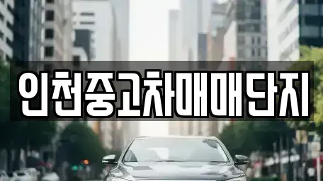 인천광역시 미추홀구 용현동 중고차매매 전문 인천중고차매매단지
