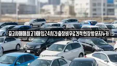 인천광역시 미추홀구 용현동 중고차매입 전문 중고차매매최고가매입24시간출장비무료견적현장방문지누카