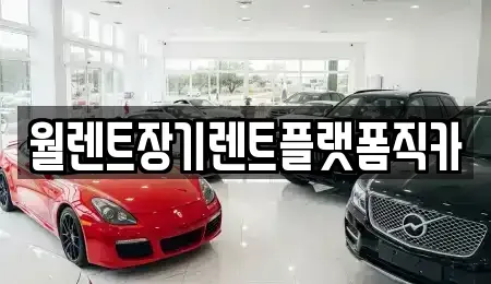 인천광역시 서구 장기렌트카 전문 월렌트장기렌트플랫폼직카