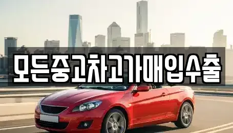 인천광역시 중구 내동 중고차매매 전문 모든중고차고가매입수출