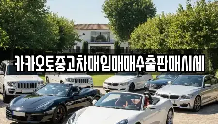 인천광역시 중구 내동 중고차매입 전문 카카오토중고차매입매매수출판매시세