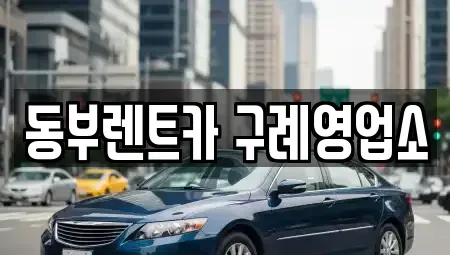 전남 구례군 구례읍 렌트카 전문 동부렌트카 구례영업소