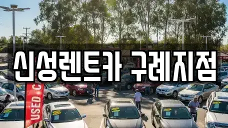 전남 구례군 구례읍 렌트카 전문 신성렌트카 구례지점
