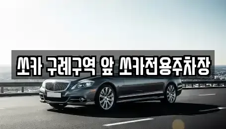 전남 구례군 구례읍 렌트카 전문 쏘카 구례구역 앞 쏘카전용주차장
