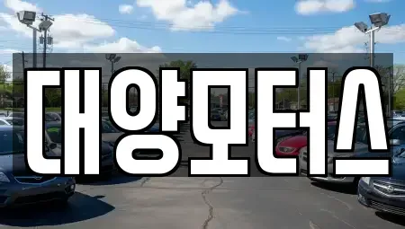 전남 구례군 구례읍 중고차 전문 대양모터스