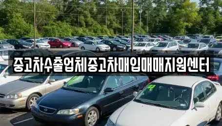 전남 목포시 용당동 중고차매매 전문 중고차수출업체중고차매입매매지원센터