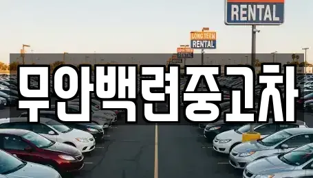 전남 무안군 중고차매매 전문 무안백련중고차