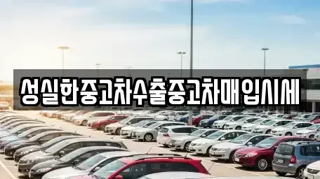 전남 무안군 중고차매매 전문 성실한중고차수출중고차매입시세