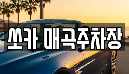 전남 순천시 중앙동 렌트카 전문 쏘카 매곡주차장