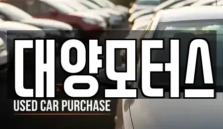 전남 순천시 중앙동 중고차 전문 대양모터스