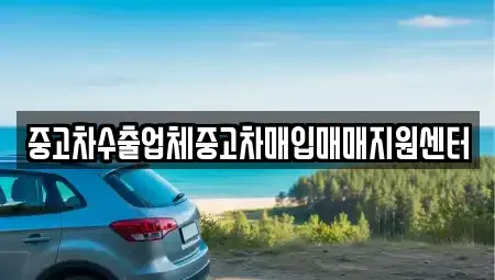 전남 순천시 중앙동 중고차 전문 중고차수출업체중고차매입매매지원센터