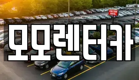 전남 여수시 광무동 렌트카 전문 모모렌터카